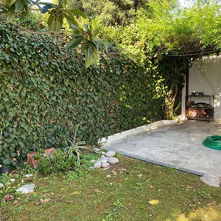 Trilocale Con E Piscina Incluse - Taunus Vacanze Primule Hébergement de vacances *